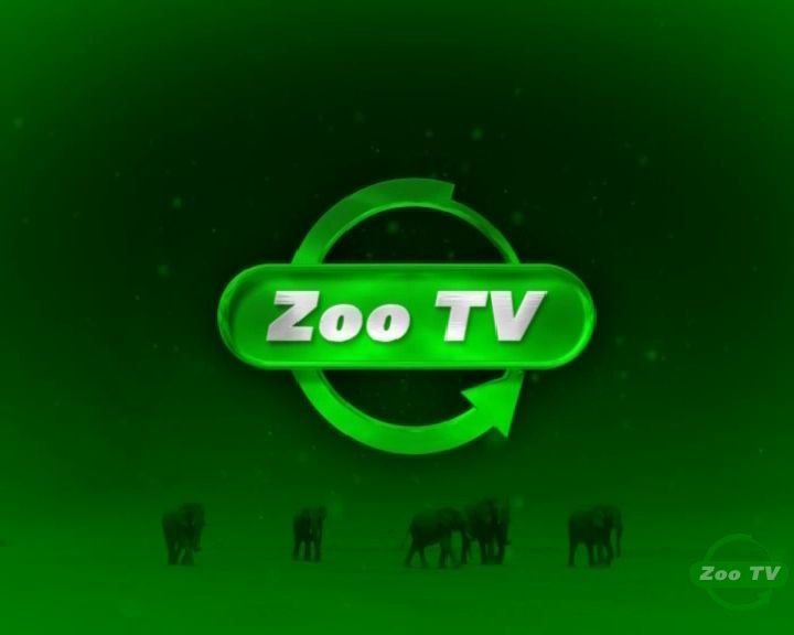 zootv.jpg