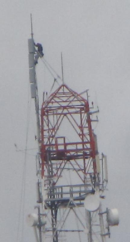 Capture1.jpg