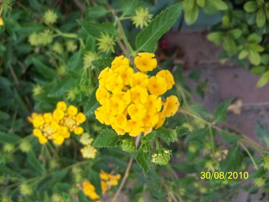 100_0023.jpg