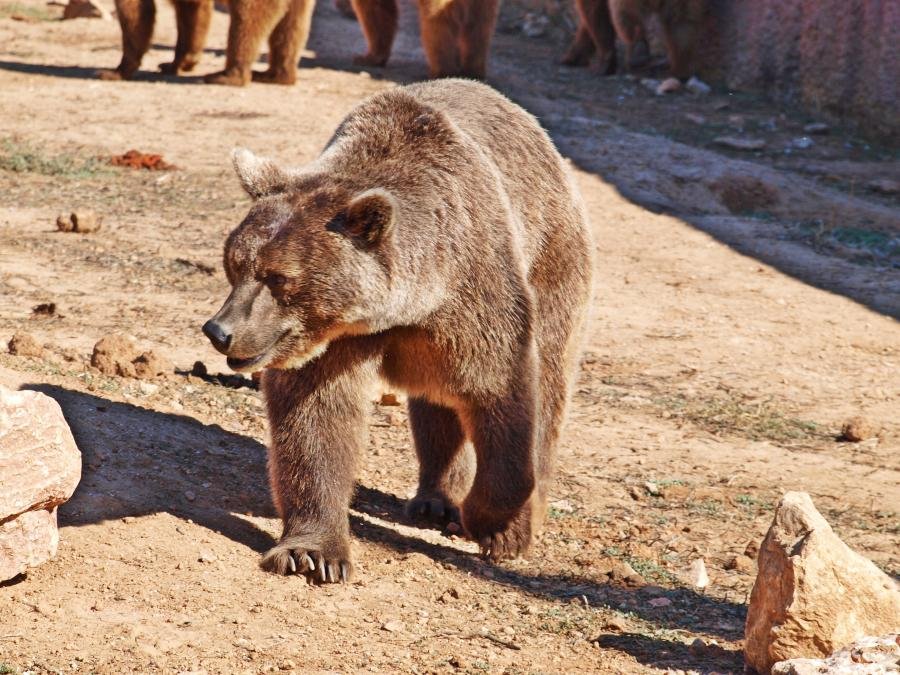 Attiko Zoo Park 22 Oct 2011 053.jpg