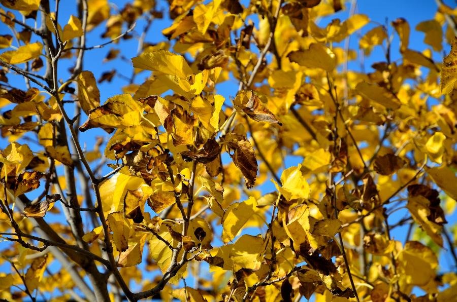 D7K_2722.jpg
