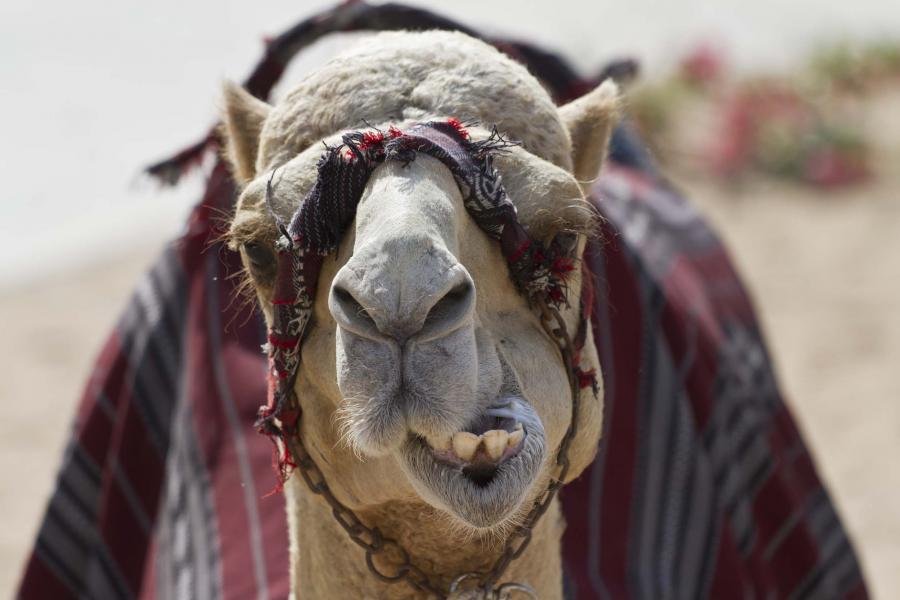 LIGHTROOM (1 of 1)-5.jpg