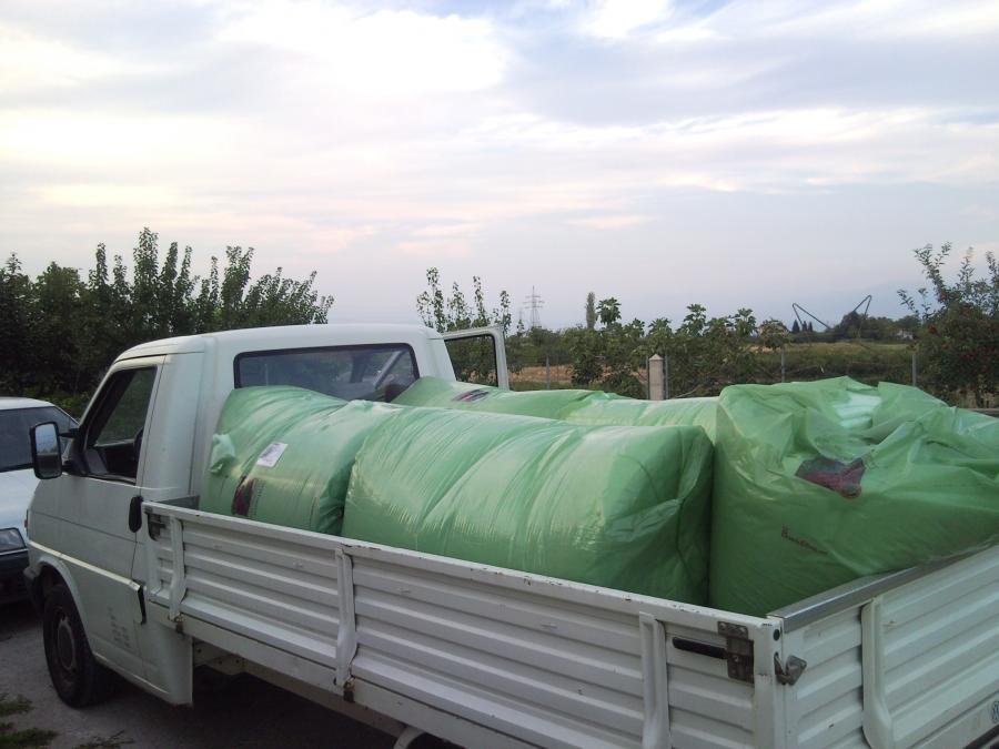 SNC00137.jpg
