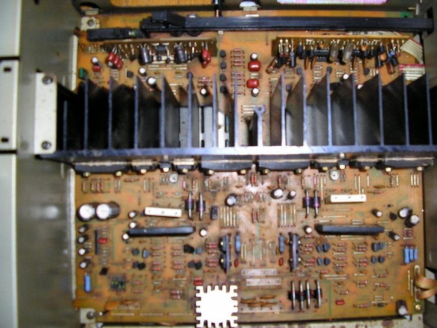 P1010005.jpg