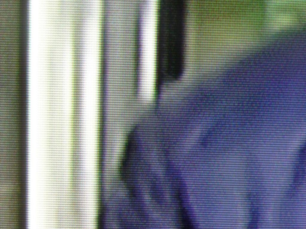 NET c.jpg