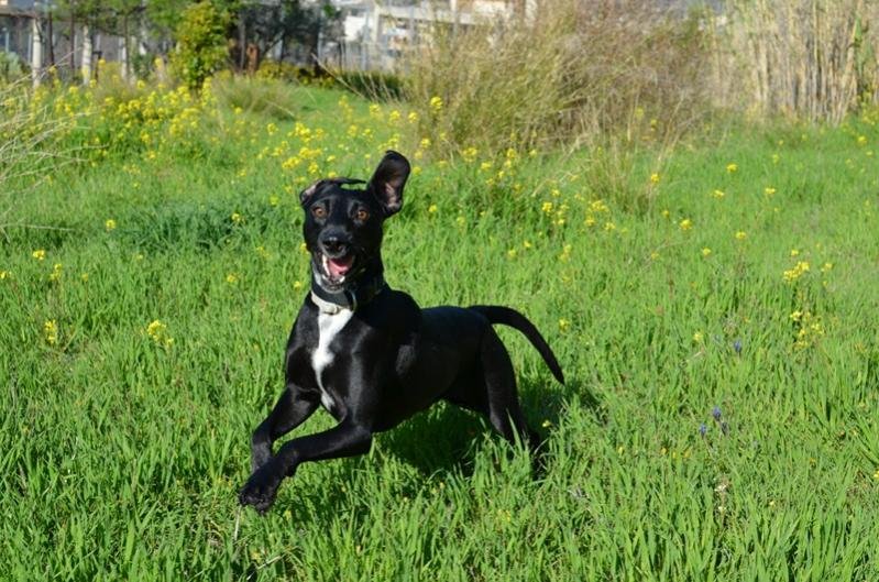 DSC_0219 (resized).jpg