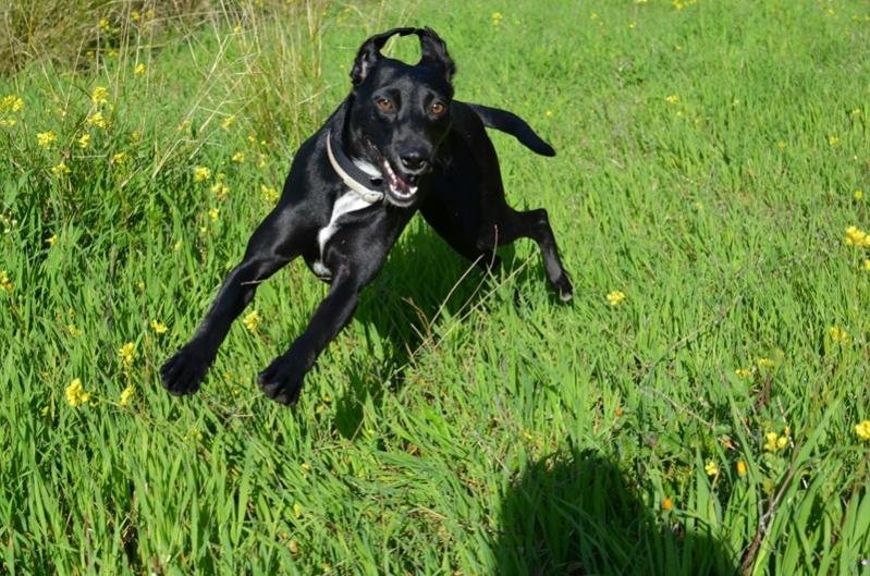 DSC_0225 (resized).jpg