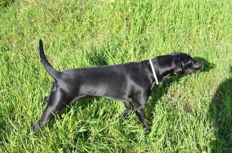 DSC_0187 (resized).jpg