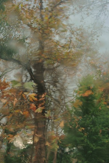 IMG 143res.jpg