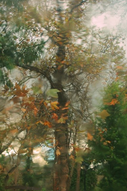 IMG 139res.jpg