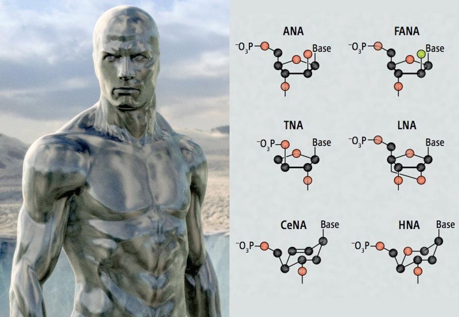 Cosmo Sapiens.jpg