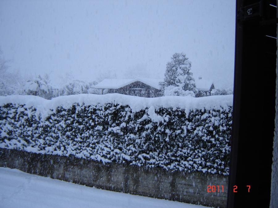 DSC02328.jpg
