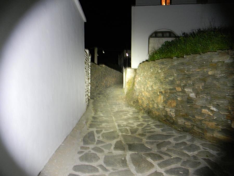 DSCN1354.jpg