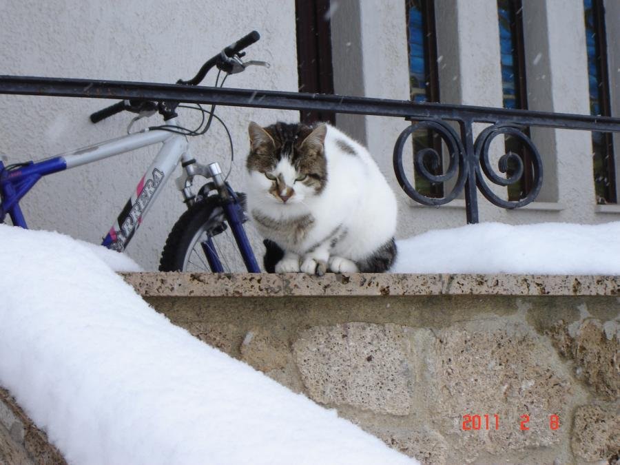 DSC02353.jpg