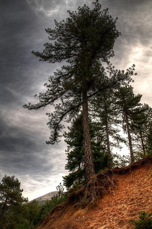 DSC_9069-3_-2__tonemapped s.jpg