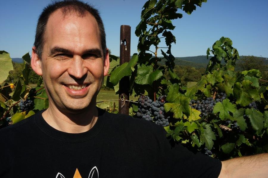 vineyard.jpg