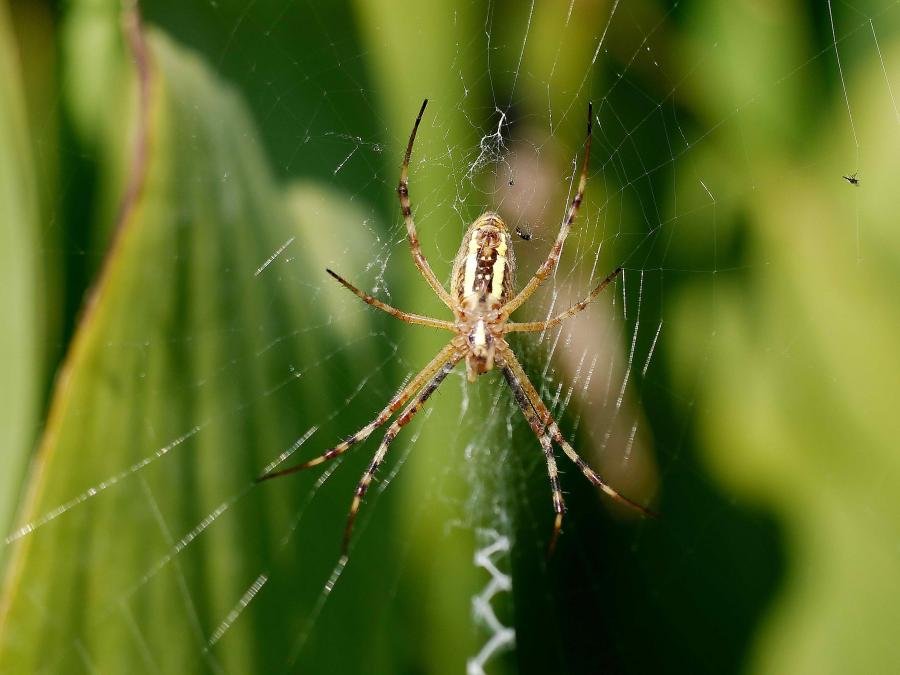 P1010911A.jpg P1010911A.jpg