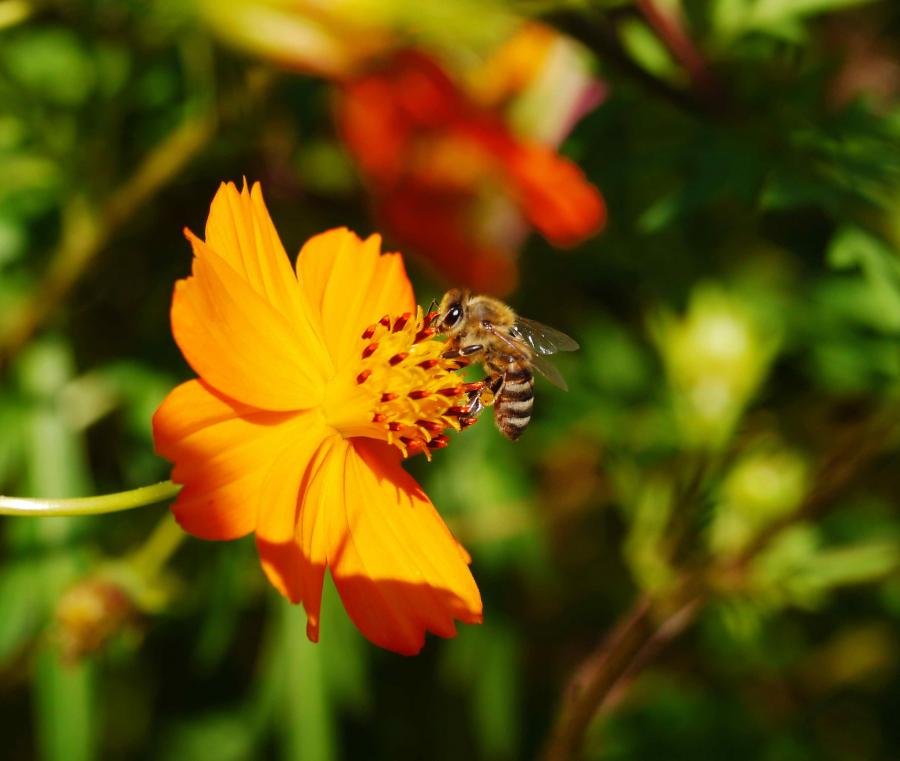 P1010924A.jpg P1010924A.jpg