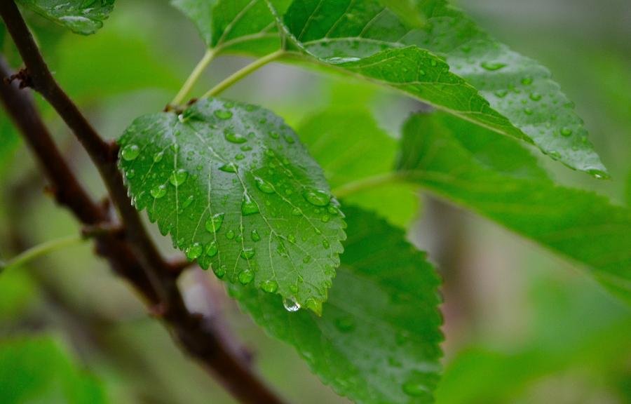 D7K_8506.jpg
