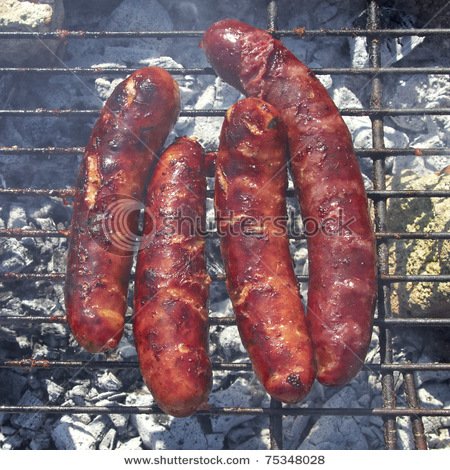 stock-photo-tasty-sausages-on-the-grill-75348028.jpg