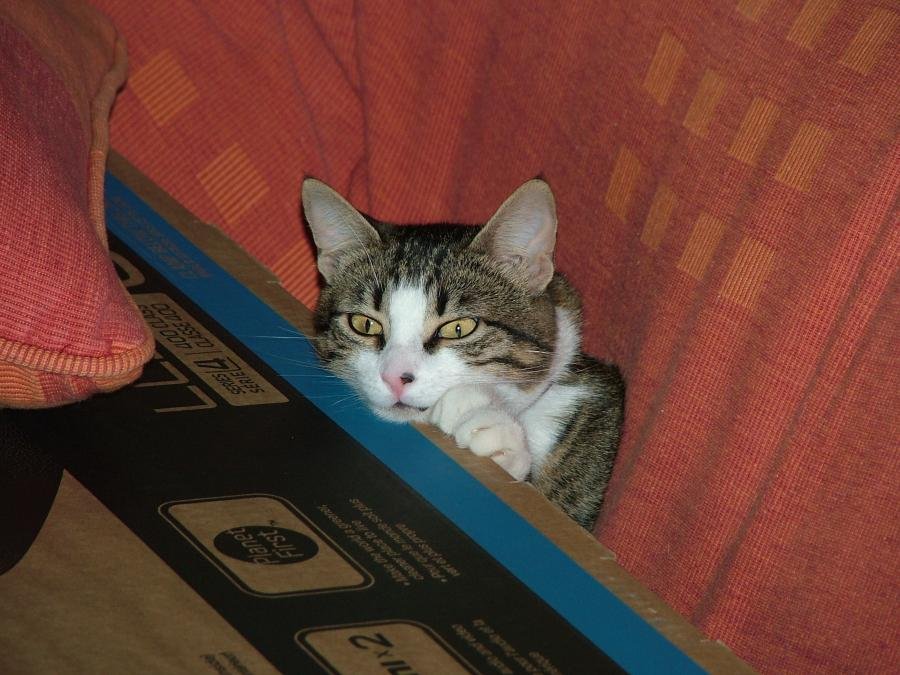 ΓΒ½ΓΒ­ΓΒ΅Γβ 001.jpg