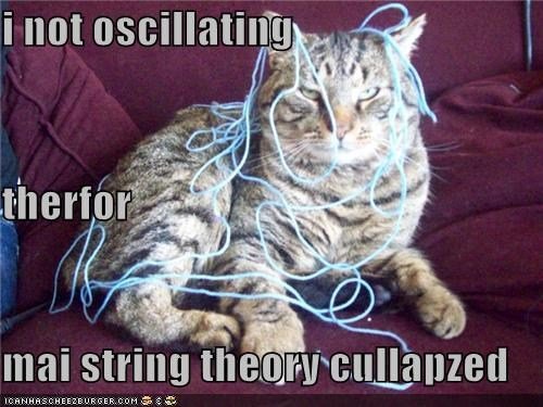 Cat conclusion.jpeg