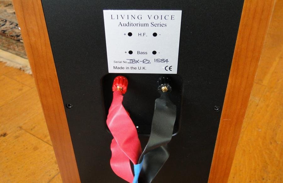 DSC00610.jpg DSC00610.jpg