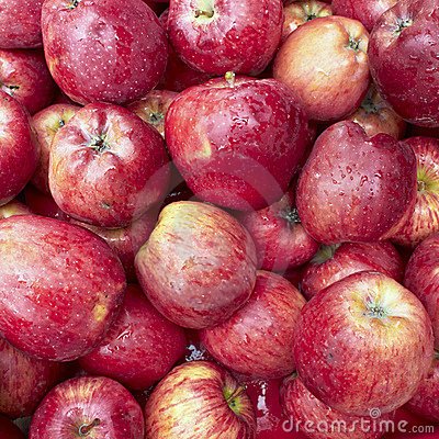 fresh-red-apples-thumb18150621.jpg
