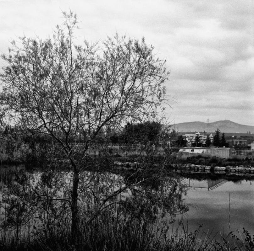 IMG_0017 copy copy.jpg