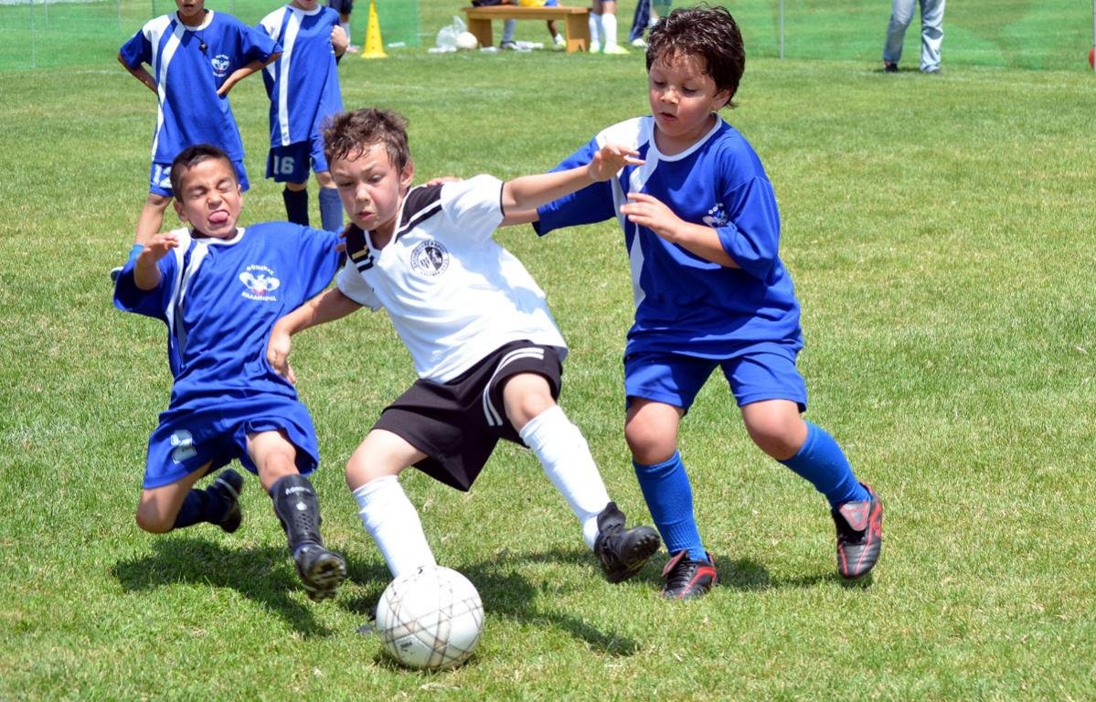 DSC_7430_1.jpg DSC_7430_1.jpg