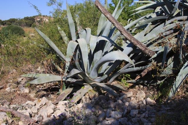 canon 1552011 021_2.jpg