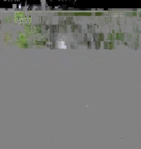c band-10E-3938R.jpg