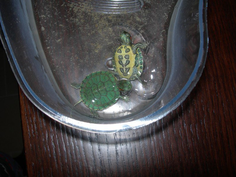 DSCN2069.jpg