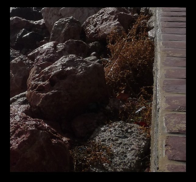 P1000181 - Version 2.jpg