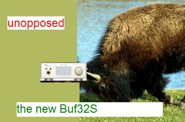Buffalo.JPG