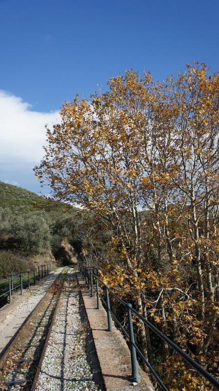 automn 1.jpg
