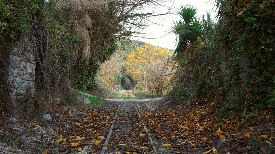 automn 2.jpg