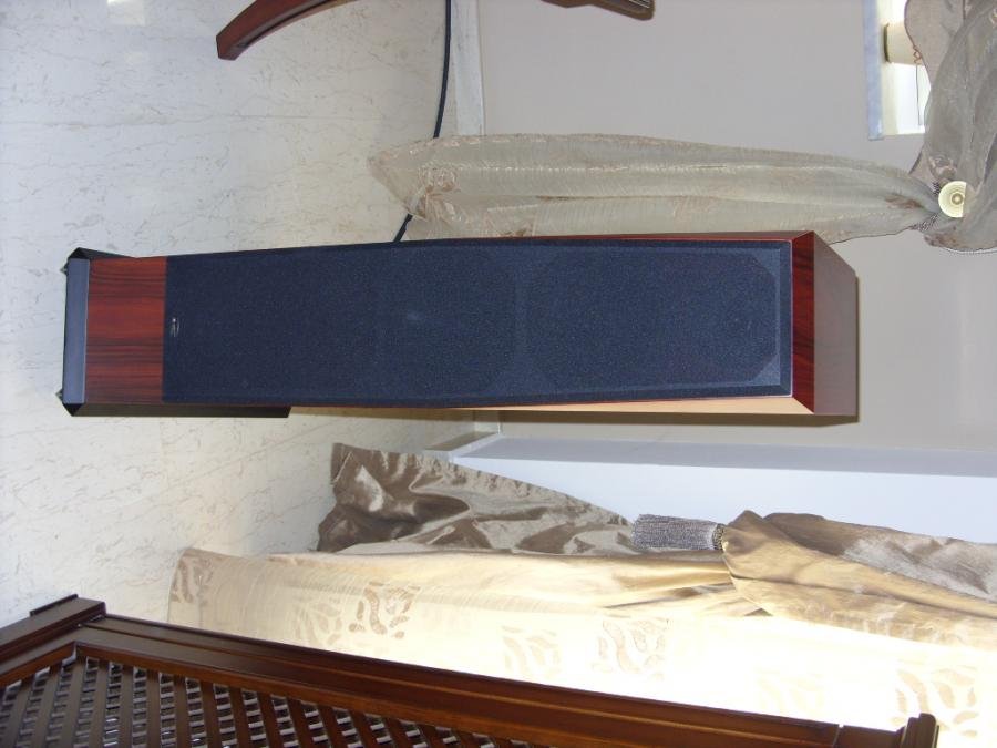 SDC10628.jpg