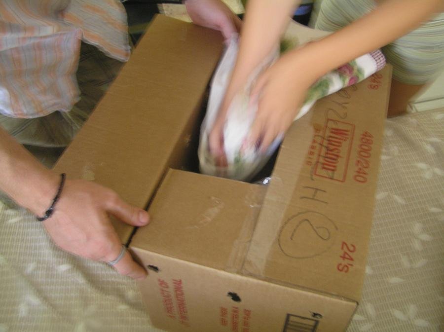 P9180084.jpg