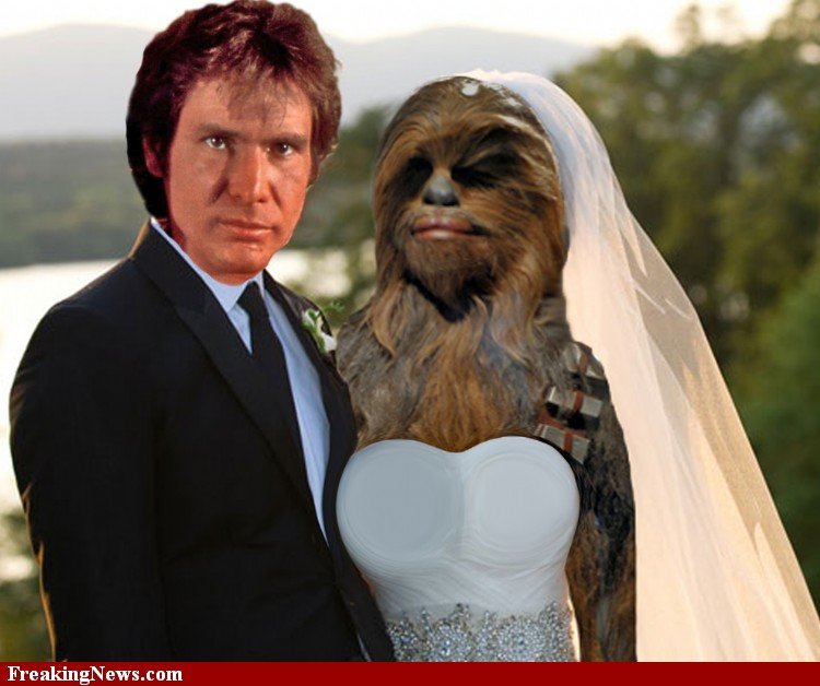 Hans Solo finally settles down.jpg