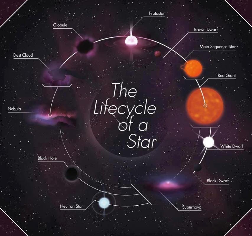 The lifecycle of a star.jpg