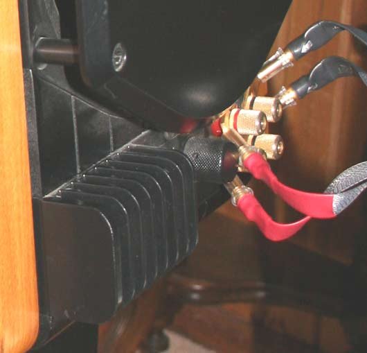 IMG_7979-closeup.jpg