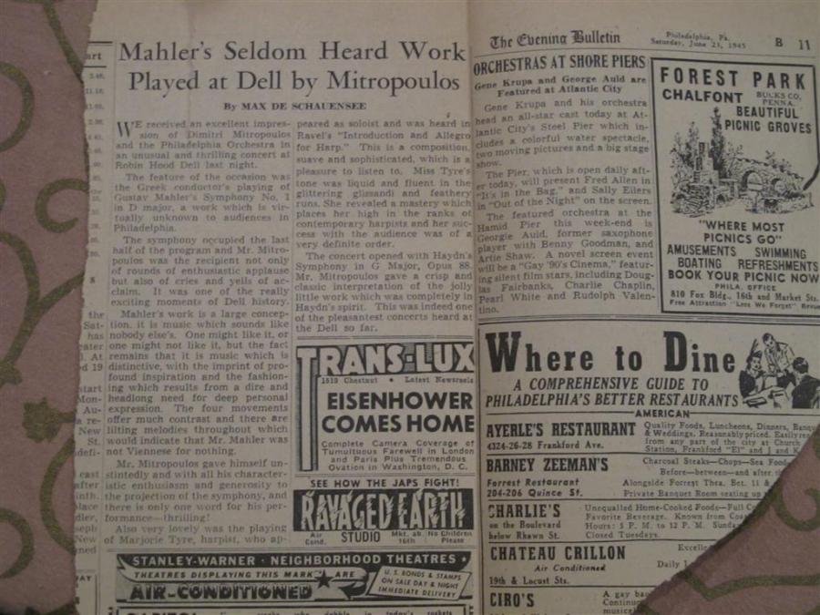 IMG_3635 (Large).jpg