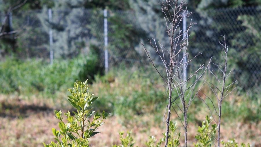 DSC00138.jpg DSC00138.jpg