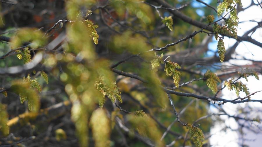 DSC00142.jpg DSC00142.jpg