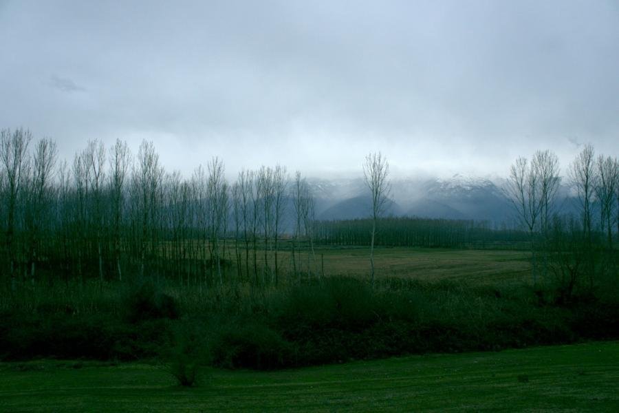 ΚΕΡΚΙΝΗ 2.jpg