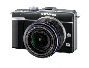 e-pl19-300x230.jpg