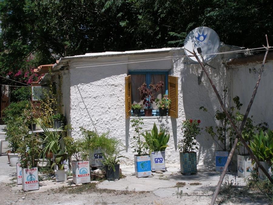 2005 016.jpg
