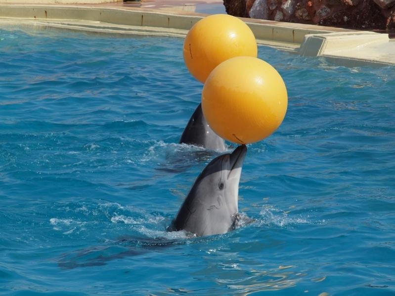 Attiko_Parko_2011 293.jpg