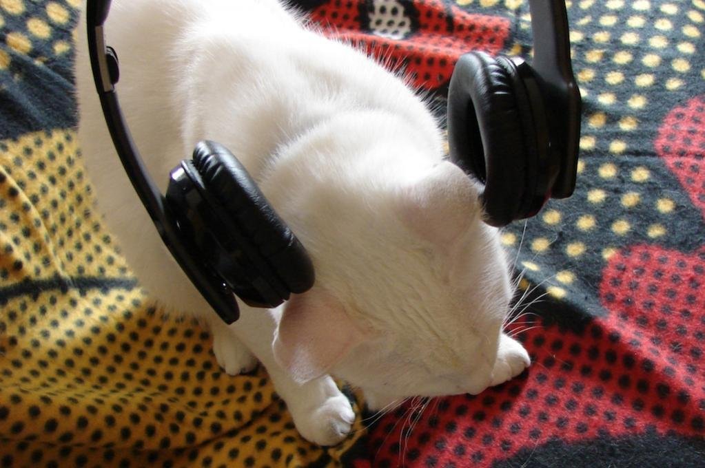 Noontec_Zoro_HD_00900.jpg Noontec_Zoro_HD_00900.jpg